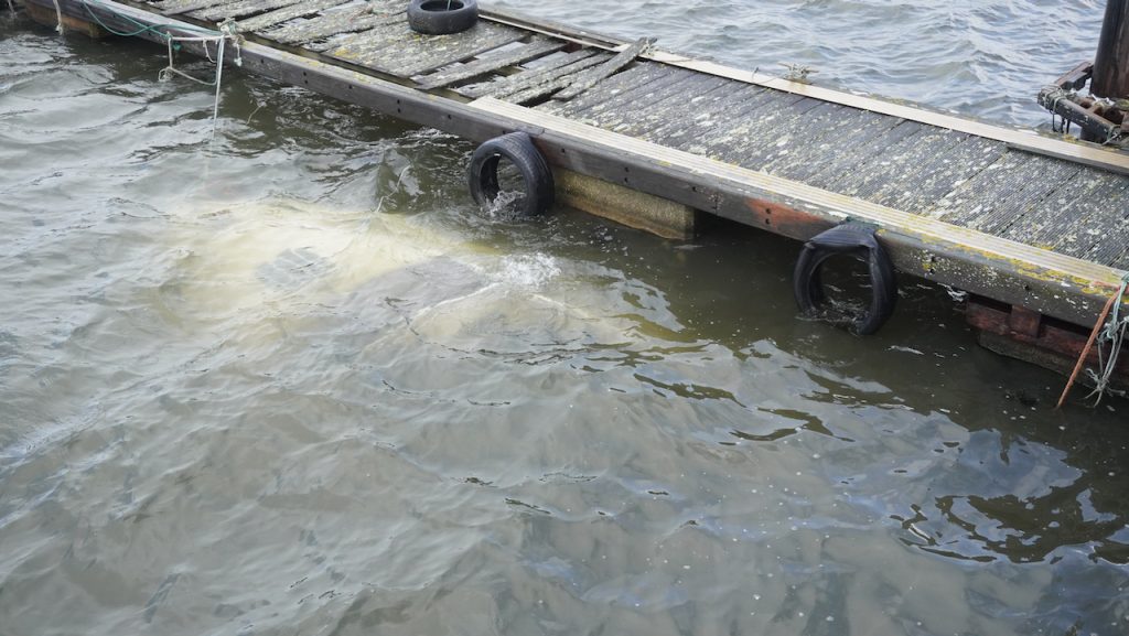 Esposende: Embarcação afunda na foz do Cávado (vídeo) embarcacao barco e24