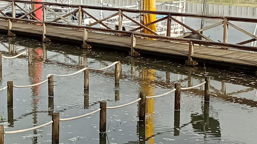 fao esposende inunda alagamento mar rio cavado fojo nautico - 4