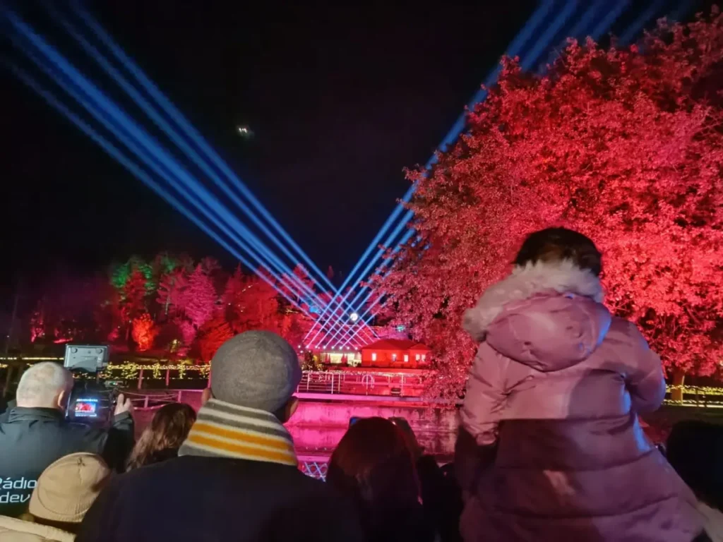 floresta magica 1