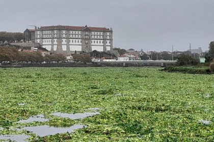jacintos vila do conde
