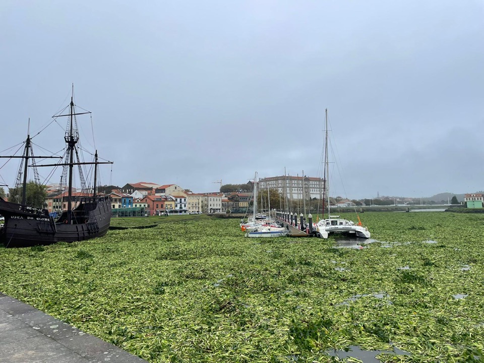 jacintos vila do conde