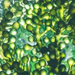 microalgas