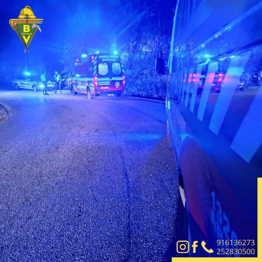 santo tirso bombeiros acidente cavalos