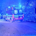 santo tirso bombeiros acidente cavalos