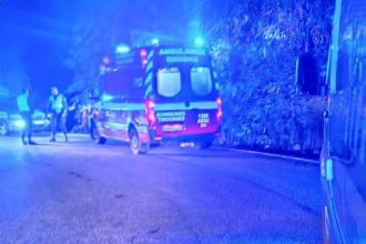 santo tirso bombeiros acidente cavalos