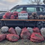 GNR valença Minho - 1