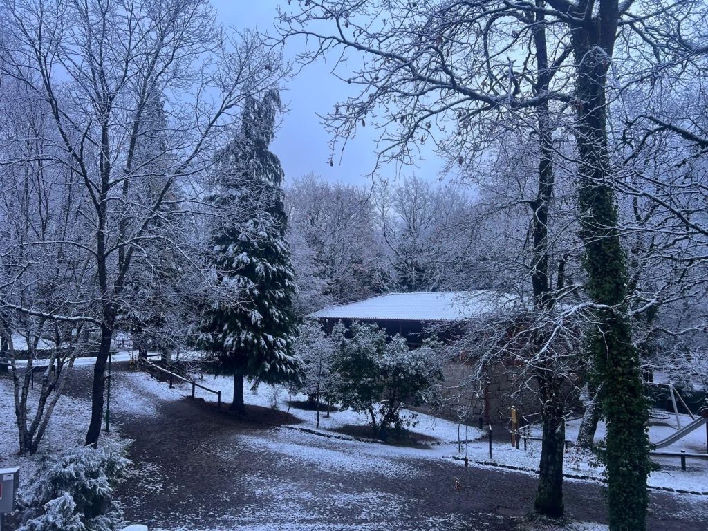 Neve: Veja aqui as imagens. Região entre Minho e Trás os Montes acorda em modo "branco mais branco não há" (vídeo) IMG 6025
