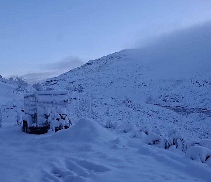 Neve: Veja aqui as imagens. Região entre Minho e Trás os Montes acorda em modo "branco mais branco não há" (vídeo) IMG 6027