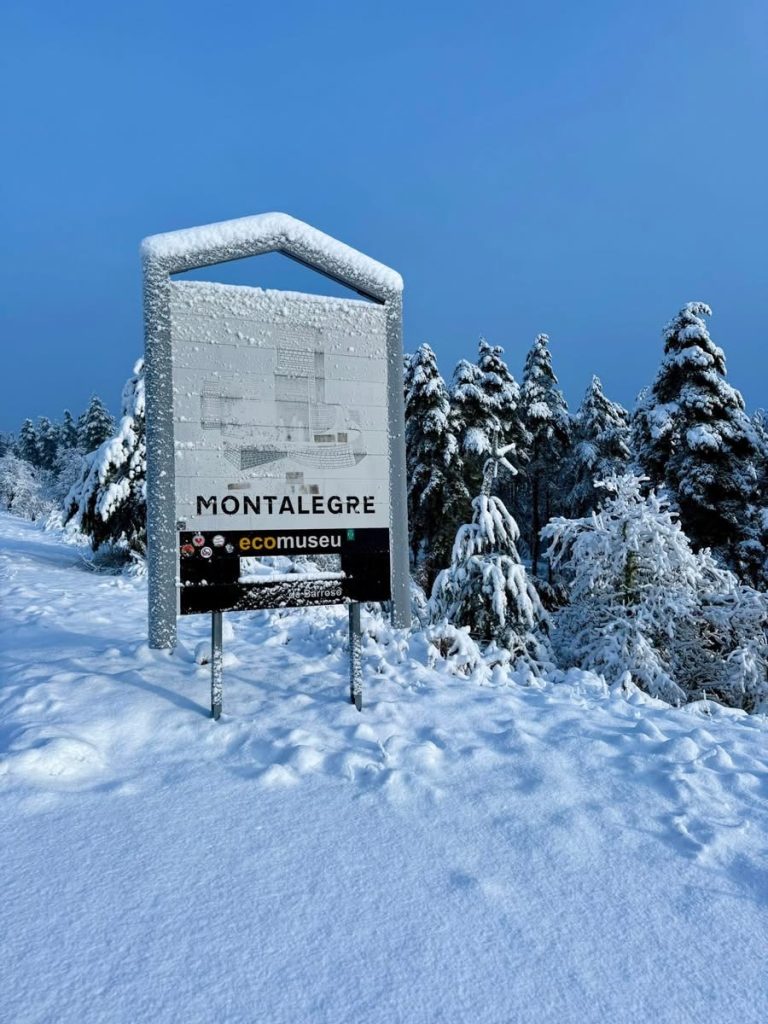 Neve: Veja aqui as imagens. Região entre Minho e Trás os Montes acorda em modo "branco mais branco não há" (vídeo) Neve Minho PNPG Tras os Montes