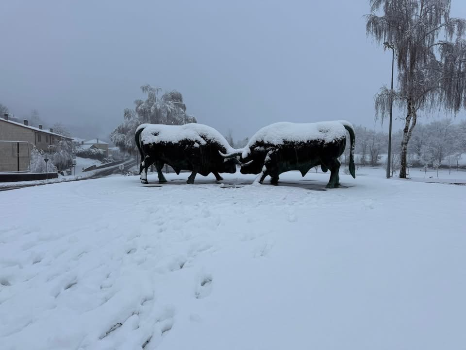 Neve: Veja aqui as imagens. Região entre Minho e Trás os Montes acorda em modo "branco mais branco não há" (vídeo) IMG 6032