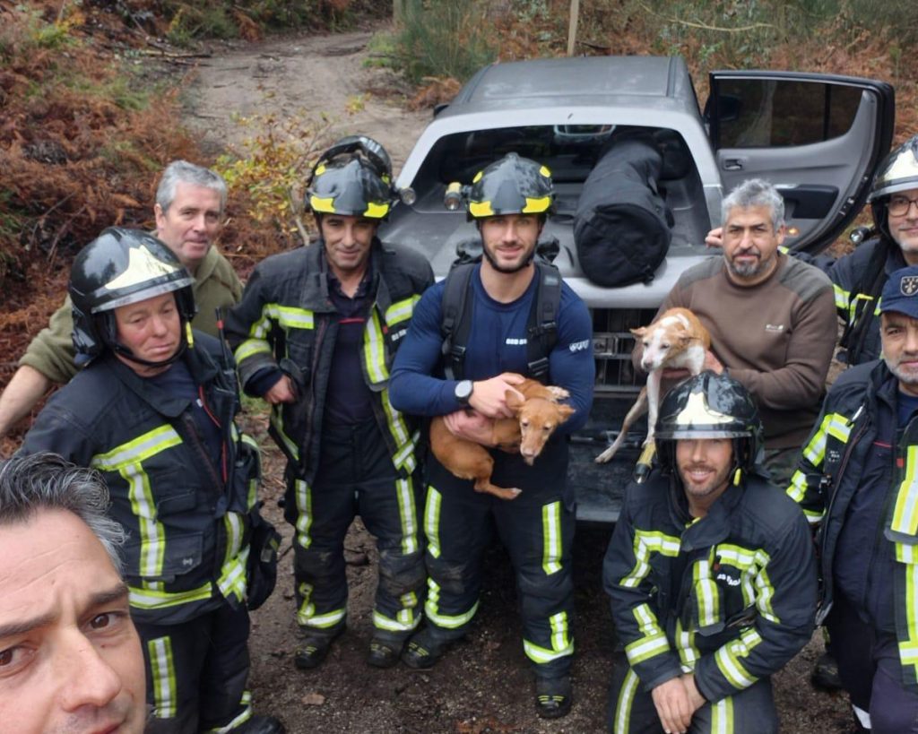 Braga: "Princesa" e "Ruca" foram passear e acabaram no fundo de um poço com 15 metros (vídeo) Salvamento animal BS Braga duas cadelas 3