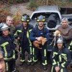 Salvamento animal BS Braga duas cadelas - 3