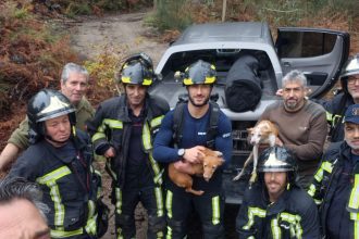 Salvamento animal BS Braga duas cadelas - 3