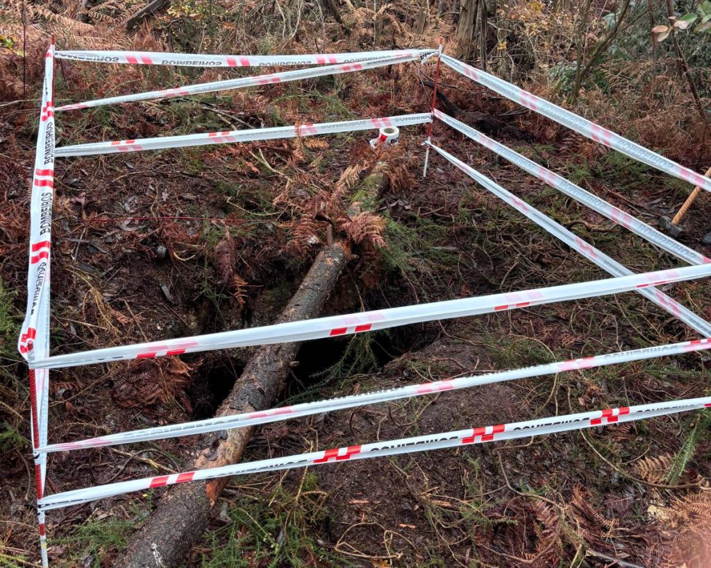 Braga: "Princesa" e "Ruca" foram passear e acabaram no fundo de um poço com 15 metros (vídeo) Salvamento animal BS Braga duas cadelas 7