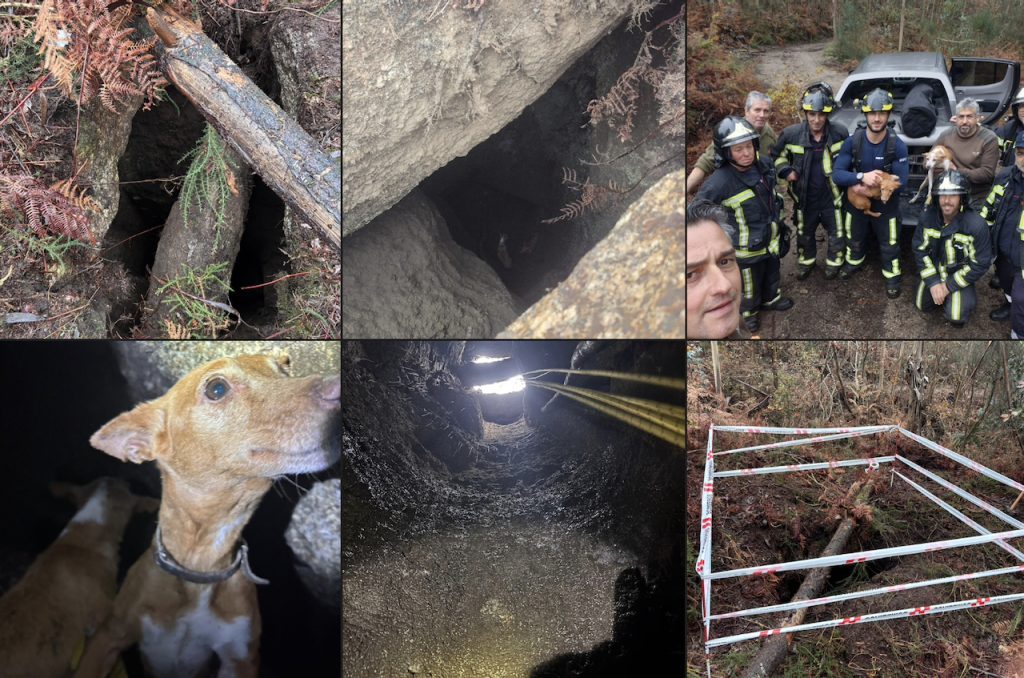 Braga: "Princesa" e "Ruca" foram passear e acabaram no fundo de um poço com 15 metros (vídeo) Resgate dos BS Braga bombeiros