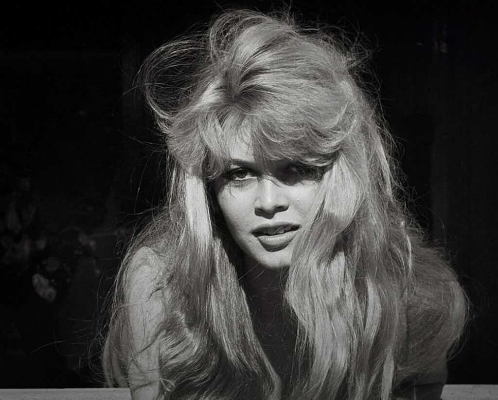brigette bardot morreu hoje simbolo sexual e luta animal