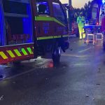 canidelo gaia atropelamento morto 2