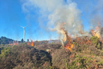 Bombeiros fogo viana ponte de lima