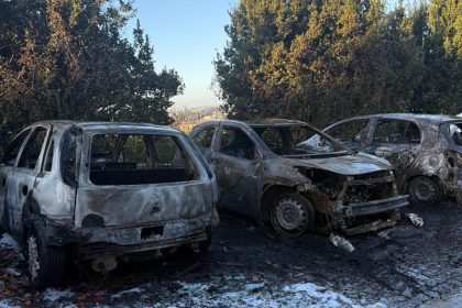 incendio matosinhos carro eletrico combustao custoias