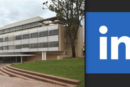 linkedIn UCP catolica porto comentario caso