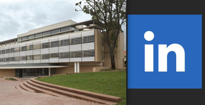 Comenta no LinkedIn da Universidade Católica e fica sem um dia de férias. Caso chega à justiça linkedIn UCP catolica porto comentario caso