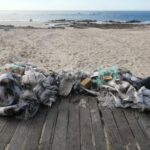 apulia esposende braga praias ambiente ativista