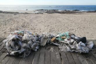 apulia esposende braga praias ambiente ativista