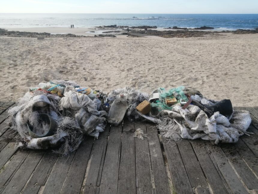 apulia esposende braga praias ambiente ativista