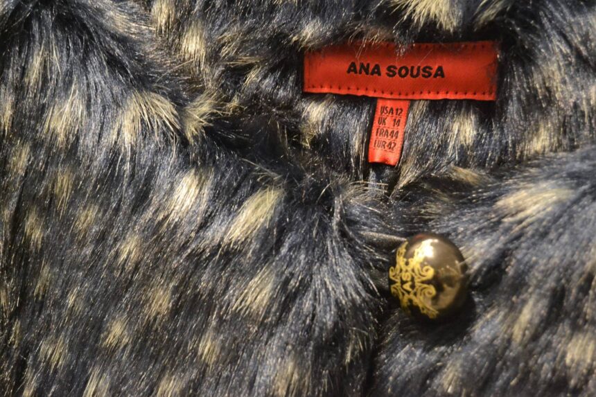 ana sousa barcelos
