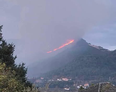 incendio em Ponte de Lima 3