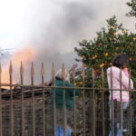 incendio na trofa porto morto