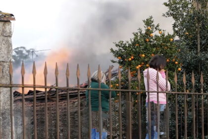 incendio na trofa porto morto