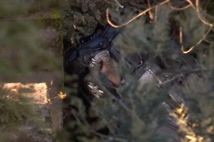 oliveira de frades viseu, acidente ponte morte tio sobrinhas