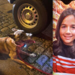 lucas-9-anos-encontrado-com-vida-