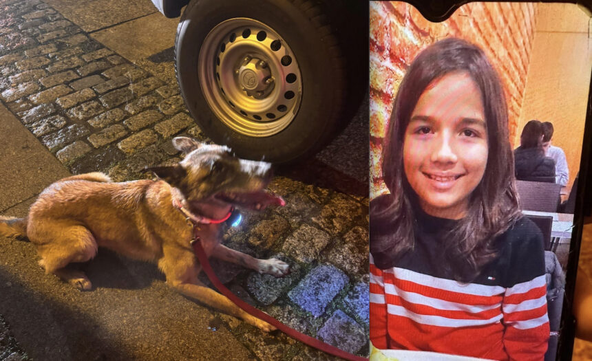 lucas-9-anos-encontrado-com-vida-