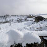 neve