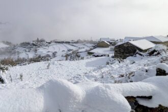 neve