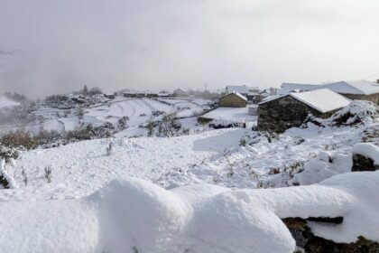 neve