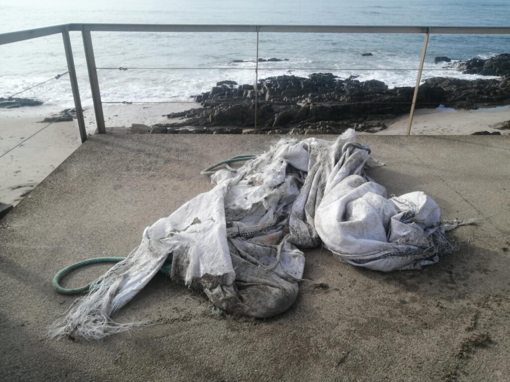 poluicao nas praias de apulia ofir - 1