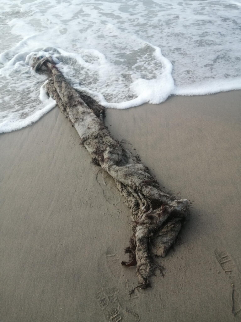 poluicao nas praias de apulia ofir - 1
