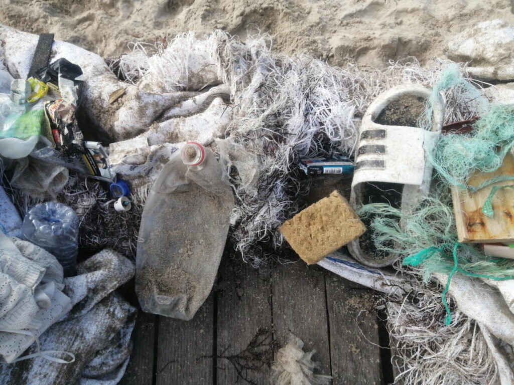 poluicao nas praias de apulia ofir - 1