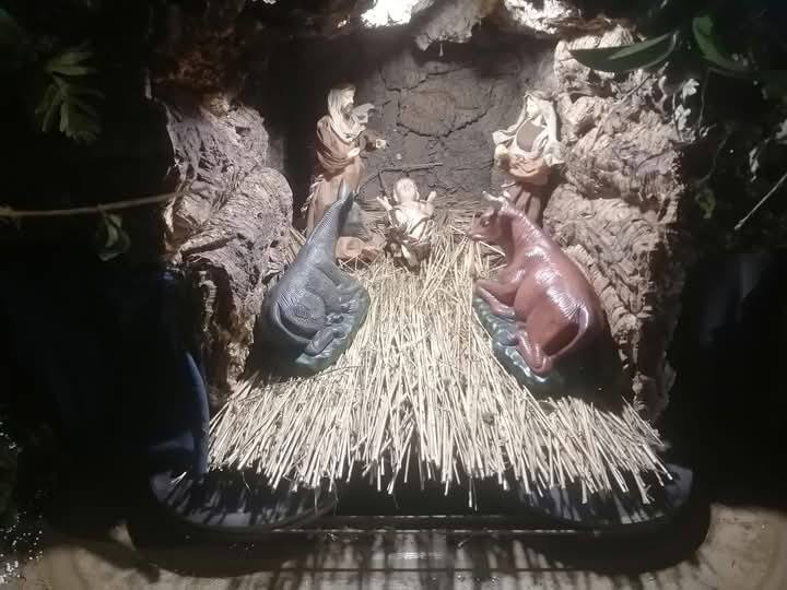 amares lago presepio