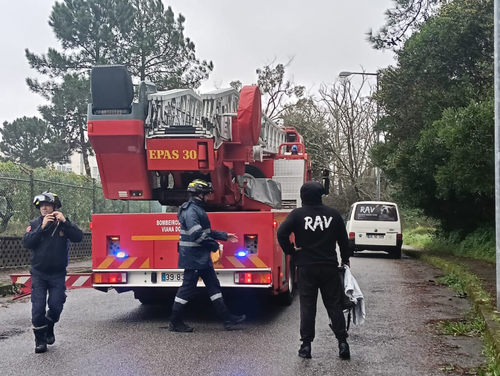 Viana: (vídeo) Gata presa numa árvore durante dois dias é resgatada socorro de gata em Viana do Castelo RAV bombeiros - 1