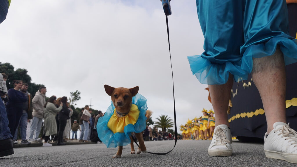 Carnaval de Esposende 2026 Marginal 183