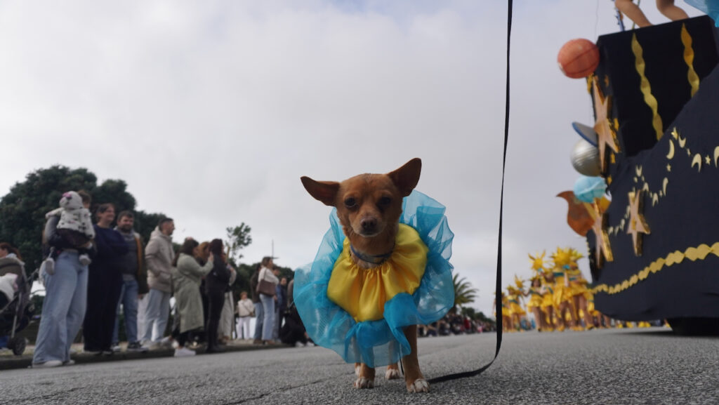 Carnaval de Esposende 2026 Marginal 187