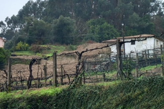 Ponte da Barca Deslizamento de terras destrói habitação e obriga a retirar sete pessoas