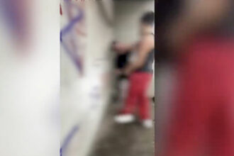 agressoes braga carlos amarante escola