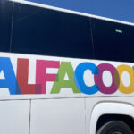 alfacoop