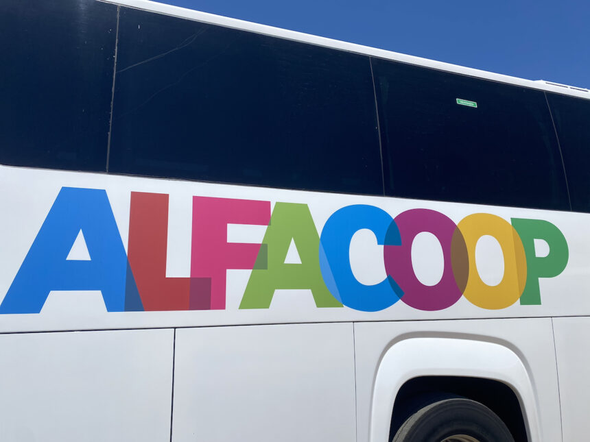 alfacoop