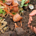 compostagem esposende